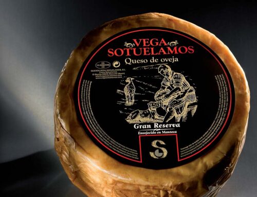 Comprar online queso manchego, alabados por todo el mundo