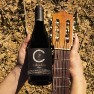 vino tinto allegro DOP Calzadilla