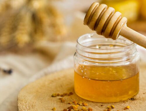 La historia de la miel: su recorrido a lo largo de los años